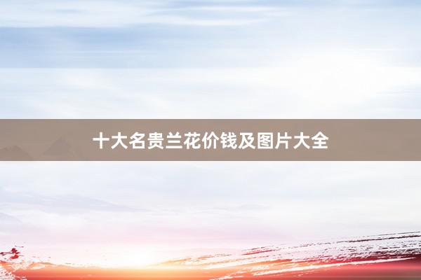 十大名贵兰花价钱及图片大全